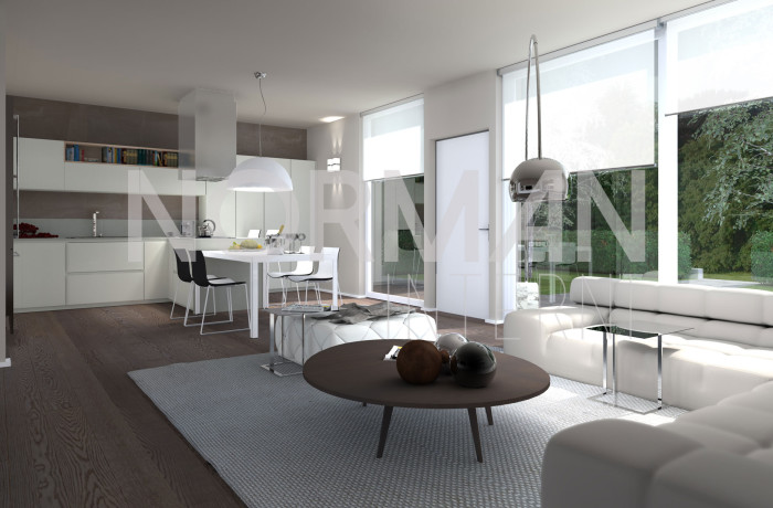 Render-C006